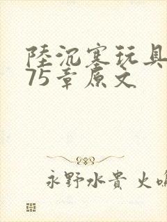 陆沉塞玩具高速75章原文