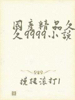 国产精品久久久久9999小说