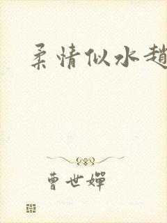 柔情似水赵雅儿