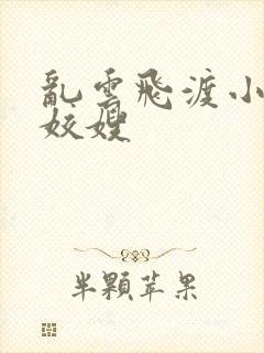 乱云飞渡小说之姣嫂