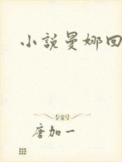 小说曼娜回忆录