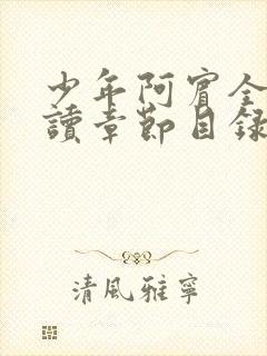 少年阿宾全文阅读章节目录