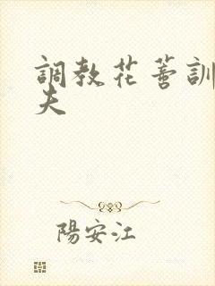 调教花蒂训诫从夫