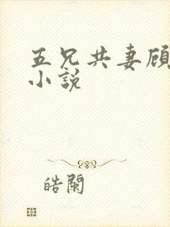 五兄共妻顾心儿小说