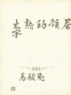 火热的领居中文字