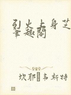 引火上身芝麻糖笔趣阁