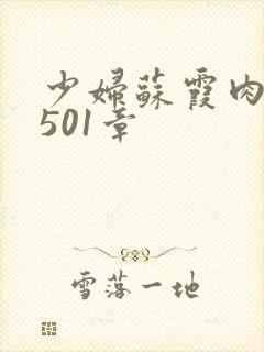 少妇苏霞肉欲第501章