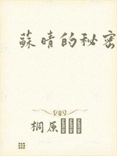 苏晴的秘密小说