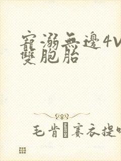 宠溺无边4V2双胞胎