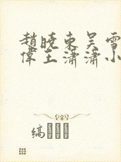 赵晓东吴雪晴郑伟王潇潇小说