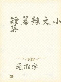 短篇辣文小说合集