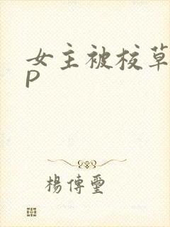 女主被校草们NP