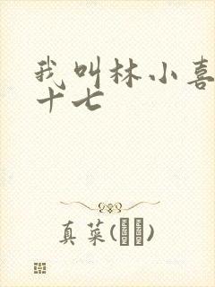 我叫林小喜今年十七
