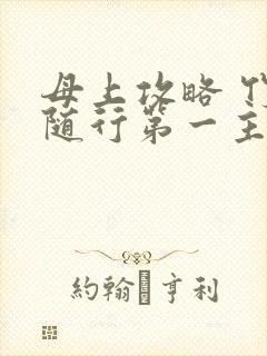 母上攻略 竹影随行第一主板