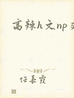 高辣h文np爽