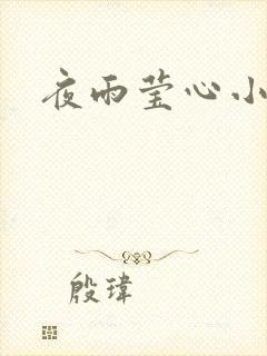 夜雨莹心小说