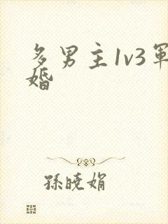 多男主1v3军婚