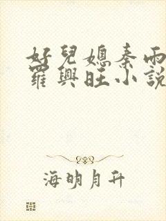 好儿媳秦雨罗明罗兴旺小说