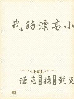 我的漂亮小后妈