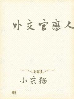 外交官恋人小说