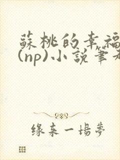 苏桃的幸福生活(np)小说笔趣阁沐沐