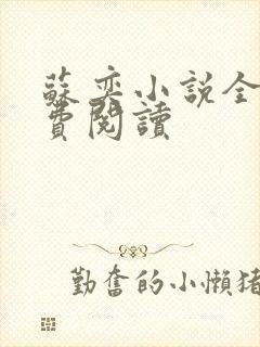 苏奕小说全文免费阅读