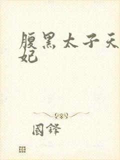 腹黑太子天降萌妃