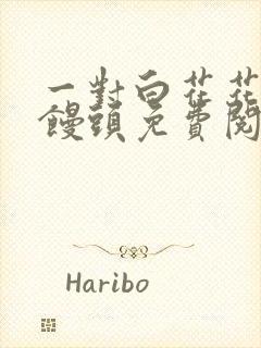 一对白花花的大馒头免费阅读