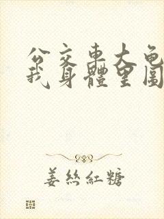 公交车大龟廷进我身体里图