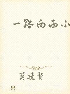 一路向西小说
