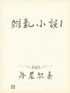 杂乱小说1