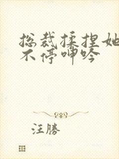 总裁揉捏她两乳不停呻吟