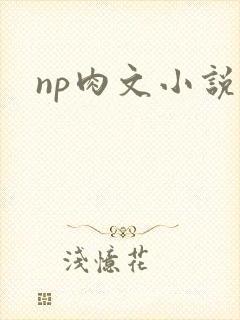 np肉文小说