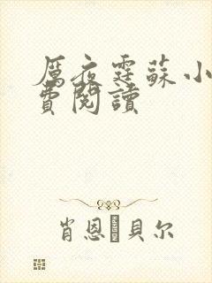 厉夜霆苏小汐免费阅读