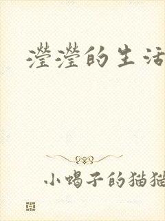 滢滢的生活日记