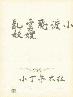 乱云飞渡小说之姣嫂