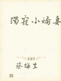 独宠小娇妻