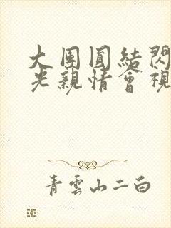 大团圆结闪闪发光亲情会视频