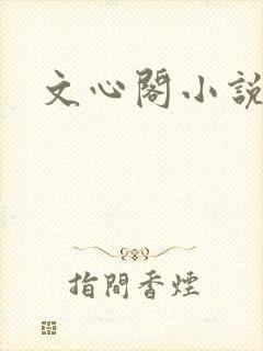 文心阁小说