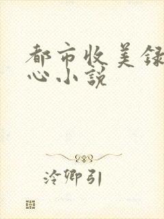 都市收美录宁素心小说