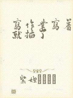 写作业写着写着就插了