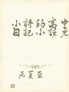 小诗的高中成长日记小说免费阅读