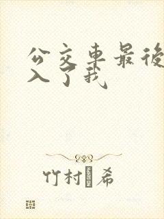 公交车最后一排入了我