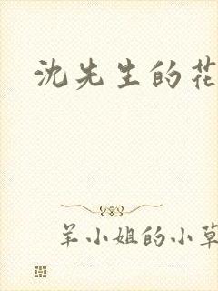 沈先生的花式调