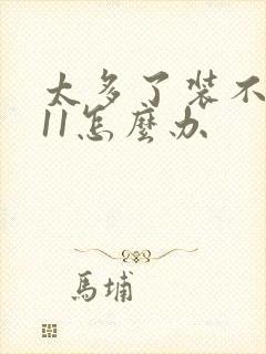 太多了装不下h11怎么办