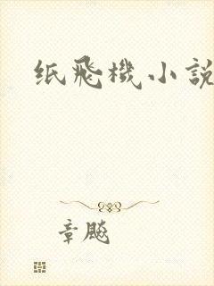 纸飞机小说