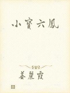 小宝六凤