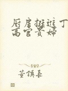 厨房挺进丁字裤高官贵妇