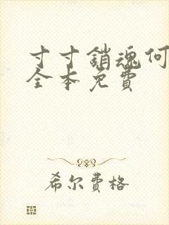 寸寸销魂何生祥全本免费