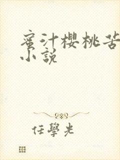 蜜汁樱桃苦咖啡小说